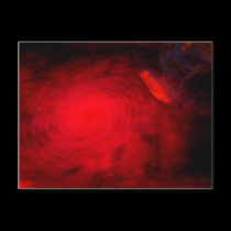 Blood Work Postcard postcards