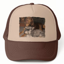 Bloodhound and Miniature Schnauzer Hat by LuraDee Bloodhound and Miniature Schnauzer Hat