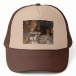 Bloodhound and Miniature Schnauzer Hat