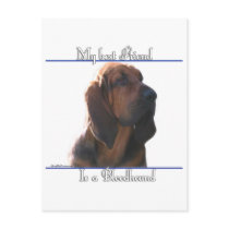Bloodhound Best Friend 2 Postcard