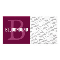 Bloodhound Breed Monogram Design Photo Cards