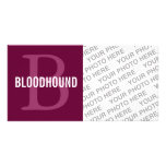 Bloodhound Breed Monogram Design Photo Cards