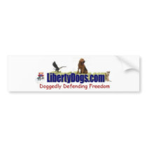 Bloodhound Bumper Sticker