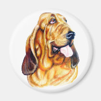 Bloodhound Bust magnets