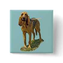 Bloodhound buttons by kphotos Bloodhound buttons