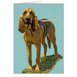 Bloodhound Card