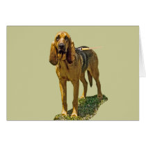 Bloodhound Greeting Cards