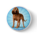 Bloodhound cartoon button
