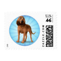 Bloodhound cartoon stamp