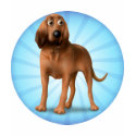 Bloodhound cartoon shirt