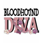 Bloodhound DIVA Shirt