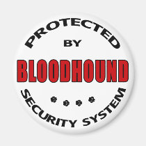 Bloodhound Dog Security magnets