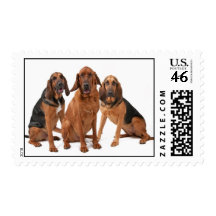 Bloodhound Group Postage