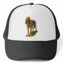 Bloodhound hats by kphotos Bloodhound hats