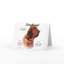 Bloodhound History Design cards