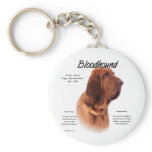 Bloodhound History Design Key Chains