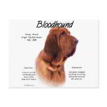 Bloodhound History Design postcards