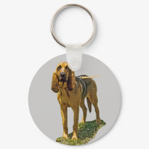 Bloodhound keychains
