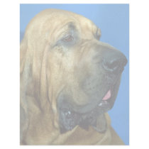 Bloodhound Custom Letterhead