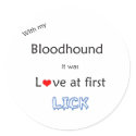 Bloodhound Love at First Lick - Sticker by GreyWolfCreation Bloodhound Love at First Lick - Sticker