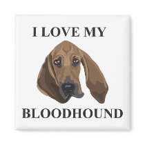 Bloodhound Love magnets by Joee3030 Bloodhound Love magnets