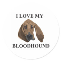 Bloodhound Love Round Sticker