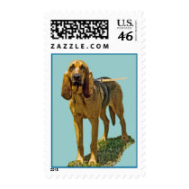 Bloodhound postage by kphotos Bloodhound postage