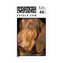 Bloodhound Postage Stamp by LuraDee Bloodhound Postage Stamp