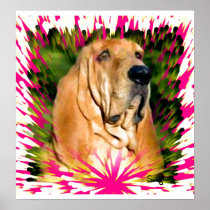 Bloodhound Poster