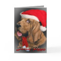 Bloodhound Santa Christmas Cards by friskybiz Bloodhound Santa Christmas Cards