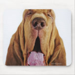 Bloodhound (St. Hubert Hound) with closed eyes, Mouse Pad