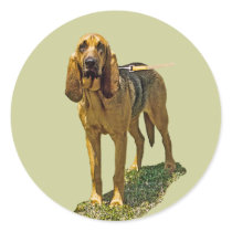 Bloodhound Sticker