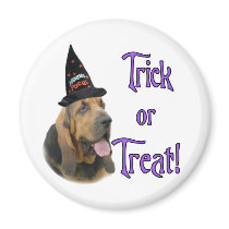 Bloodhound Trick magnets by GreyWolfCreation Bloodhound Trick magnets