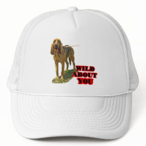 Bloodhound Wild About hats