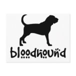 Bloodhound With Cool Text Postcard