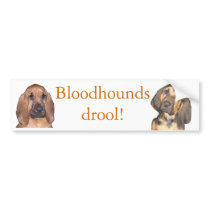 Bloodhounds drool! bumper stickers by MisterJones1950 Bloodhounds drool! bumper stickers