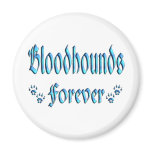 Bloodhounds Forever Fridge Magnets