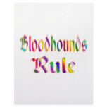 Bloodhounds Rule Letterhead Design