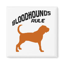 Bloodhounds Rule magnets by dogsandhorses Bloodhounds Rule magnets
