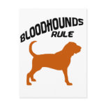 Bloodhounds Rule Postcard