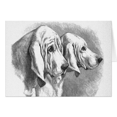 "Bloodhounds" Vintage Greeting Card by floppydog