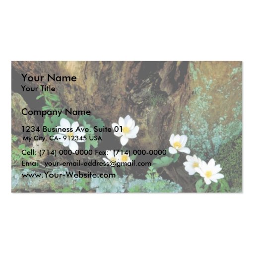 Bloodroot Business Card