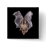 "Bloodthirsty Bat" Square Button
