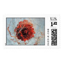 Bloodwire_Transformation_Stamp by bloodwire Bloodwire_Transformation_Stamp