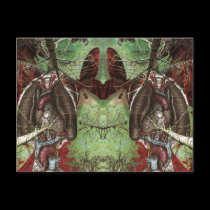 Bloodwood Postcards postcards