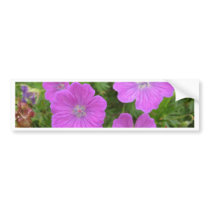 Bloody Cransebill flowers Bumper Sticker