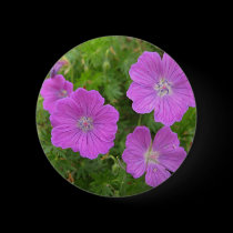 Bloody Cransebill flowers buttons