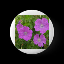 Bloody Cransebill flowers buttons