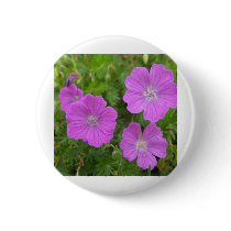 Bloody Cransebill flowers Pinback Buttons