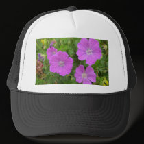 Bloody Cransebill flowers hats